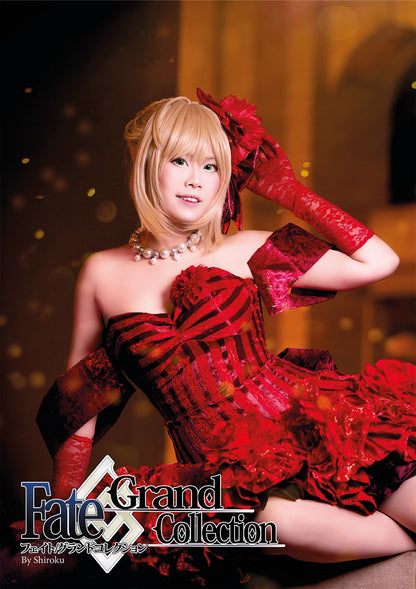 Photobook ~Fate/Grand Collection ~ DIN A4